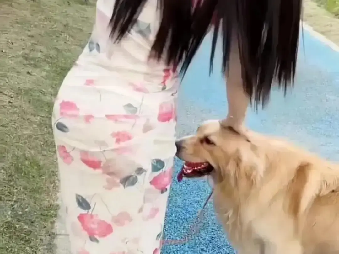 《抖音香香公主与爱犬金毛》高能日常互动全集合集在线高清免费观看-抖音香香公主与爱犬金毛完整版网盘资源无广告秒播